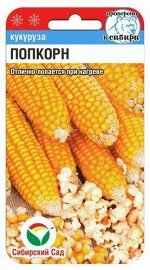 Кукуруза Попкорн 10шт (Сиб сад)