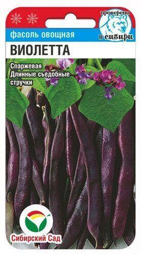 Виолетта 5гр фасоль (Сиб Сад)