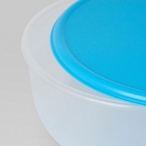 Набор контейнеров круглой формы, 5 шт, цвет синий РЕДА
