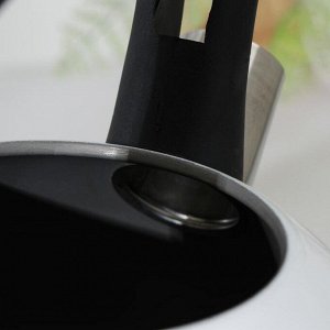 Чайник со свистком Доляна «Лиса», 3 л, с индикатором нагрева
