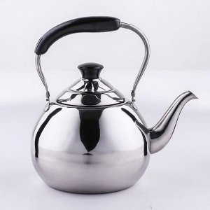 Чайник для плиты Orchid, 2 л, нержавеющая сталь, индукция, серебристый
