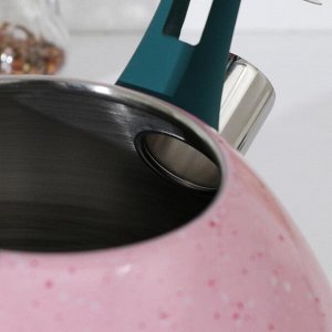 Чайник со свистком Доляна «Тропики», 3 л, цвет розовый