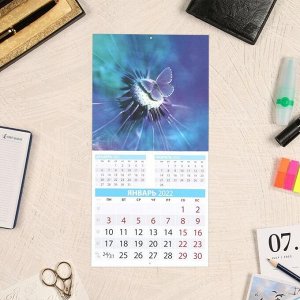 Календарь перекидной на скрепке "Бабочки" 2022 год, 285х285 мм