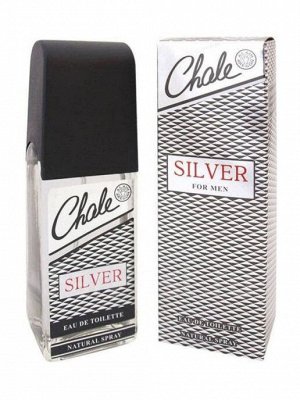 Мужская CHALE SILVER 100 ml