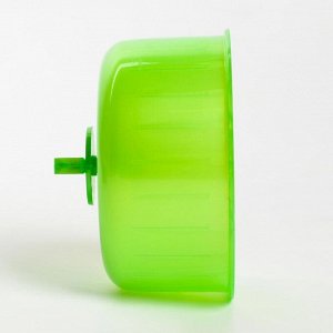Колесо для грызунов полузакрытое пластиковое, без подставки, 13,5 см, зелёный перламутр