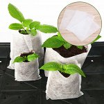 Товары для рассады