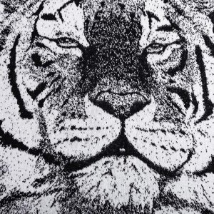Полотенце махровое  «Тигр» 70х130см, 100% хлопок, 420гр/м2