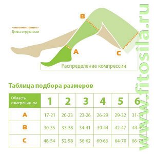 Чулок 2 класс компрессии, до бедра, № 6 кругловязаный для лечения венозной недостаточности и лимфостаза ЧККВ "ЦК"