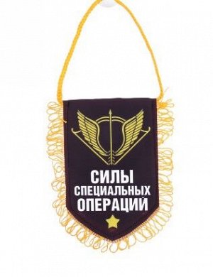 Вымпел в авто