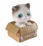 Счастливый кот на панель авто, качающий головой
