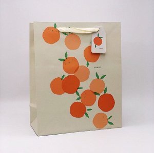 Пакет подарочный "Oranges" (26*32*12.5)