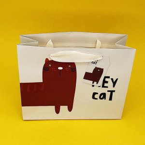 Пакет подарочный "Hey cat face", S