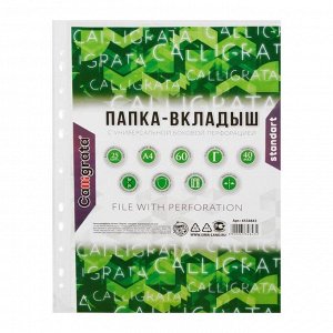 Файл-вкладыш А4 Calligrata, 40 мкм, глянцевый, вертикальный, 25 штук