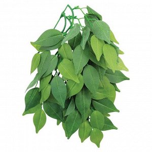 Растение для террариума "Фикус", 30 см
