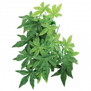 Растение для террариума "Абутилон", 40 см