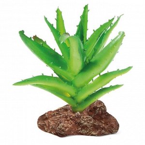 Растение для террариума "Алоэ", 9,5 х 6 х 13 см