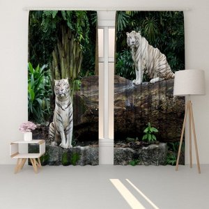 Фотошторы софт Белые тигрята