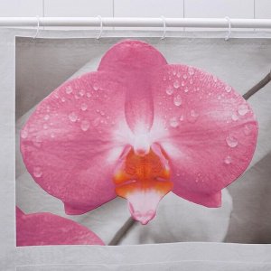 Штора для ванной комнаты Доляна «Камни и орхидея», 180x180 см, EVA