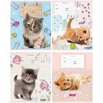 Тетрадь 12л., косая линия BG &quot;Cat story&quot;