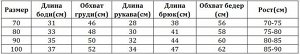 Детский костюм, толстовка и штаны, принт "Розовые розы", цвет фиолетовый/черный