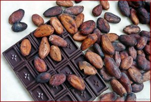 Какао-бобы 100 г Продукты XXII века