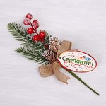Ветка хвойная