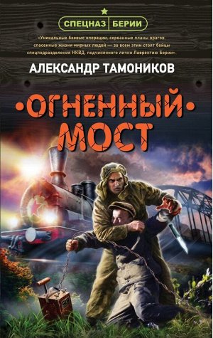 Тамоников А.А. Огненный мост