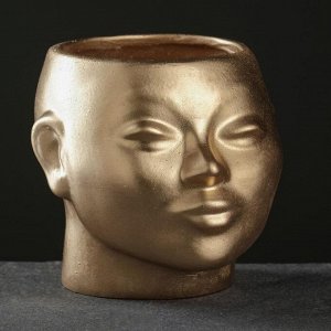 Фигурное кашпо "Голова Наоми" 17х15см, бронза