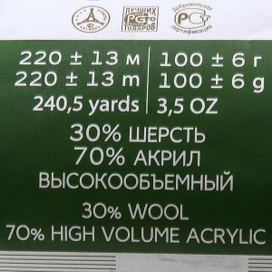 Пряжа "Народная" 30% шерсть, 70% акрил объёмный 220м/100гр (393-Св.моренго)