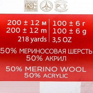 Пряжа "Мериносовая" 50%меринос.шерсть, 50% акрил 200м/100гр (191-Ежевика)