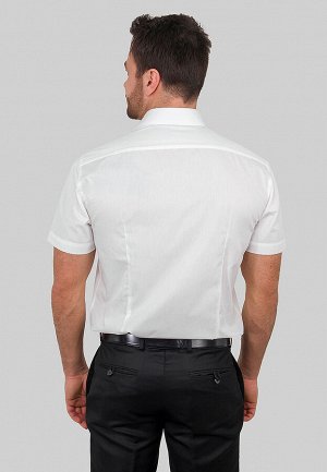 Сорочка мужская короткий рукав GREG 510/109/ALT/ZV