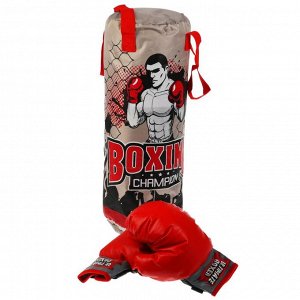 Набор для бокса 52 см, (груша, перчатки) в сетке арт.B1759673