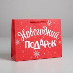 Пакет ламинированный горизонтальный «Новогодний подарок», MS 23 ? 18 ? 8 см