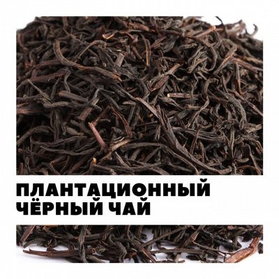 Большая чайная! ⚡ Улуны, травяные, фруктовые и черные — Черный чай