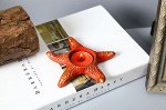 Подсвечник в виде морской звезды, цвет красный