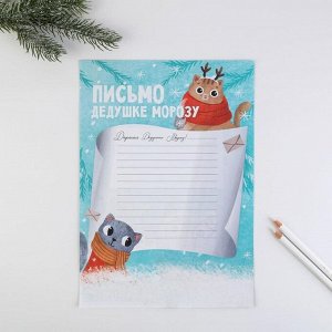 Письмо Деду Морозу «Снежного настроения», 21х30 см