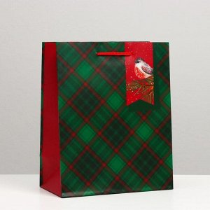 Пакет подарочный "Зелёная клетка", 18 х 22,3 х 10 см