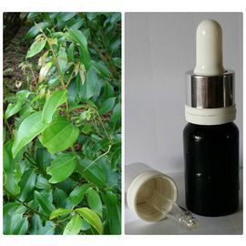 16 Эфирное масло корицы (листья и побеги) Cinnamomum cassia, 5 мл