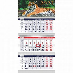 Календарь квартальный с бегунком, 2022 год, 3-х блочный, 3 гребня, ОФИС, "Год тигра", HATBER, 3Кв3гр3_25953