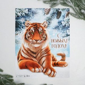 Плакат "С новым годом", реалистичный тигр, 30 х 40 см