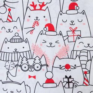 Комплект: пододеяльник и 2 наволочки Xmas cat 175*215 см, 50*70 см - 2 шт, 100% хлопок