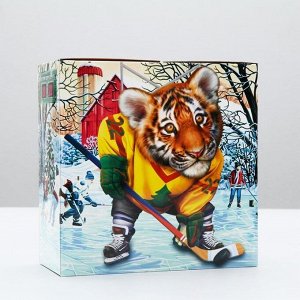 Подарочная коробка "Хоккеист", 20 х 20 х 9 см
