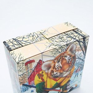 Подарочная коробка "Хоккеист", 20 х 20 х 9 см