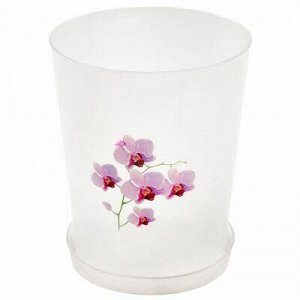 Горшок для орхидеи пластмассовый 3,5л, д17см, h22см, прозрач