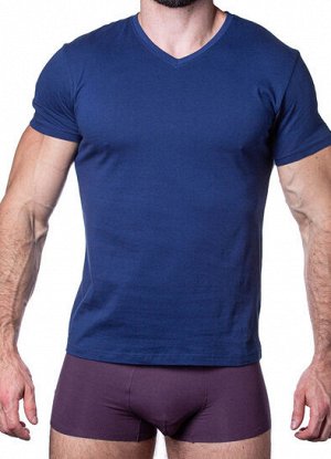 Мужская футболка SERGIO DALLINI T751-4