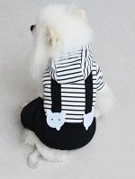 Комбинезоны для домашних животных
