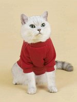 Свитшот для домашних животных