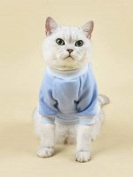 Однотонная толстовка для домашних животных