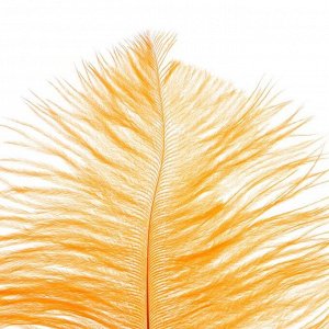 Перо для декора, размер: 30-35 см, цвет оранжевый