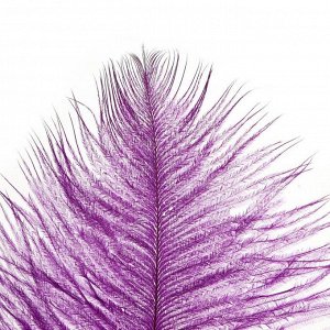 Перо для декора, размер: 30-35 см, цвет фиолетовый